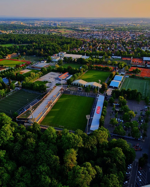 中国选手林 中国选手林