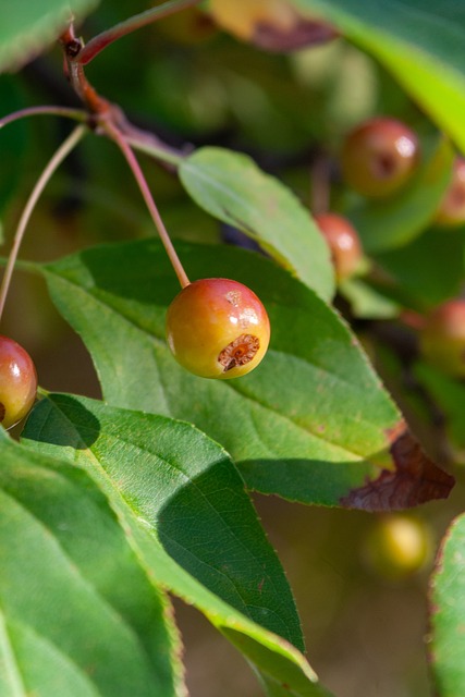 场均数据 场均数据