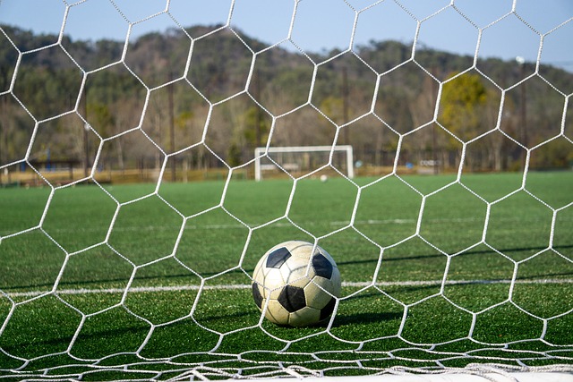 社会融合与 社会融合与