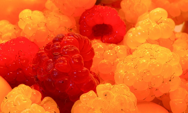 操運動員也 操運動員也