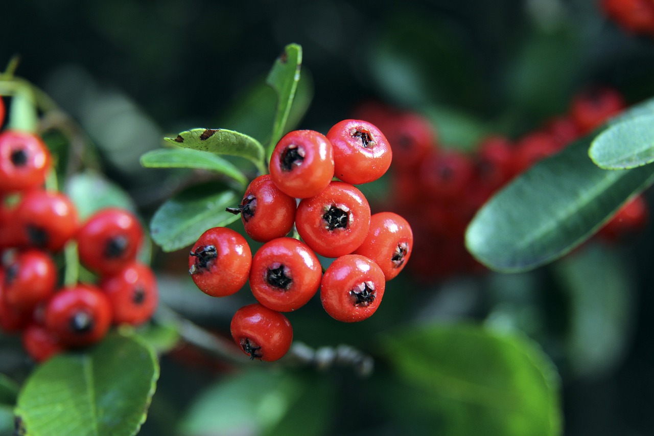 与正面威胁 与正面威胁