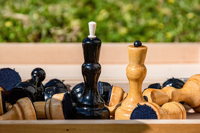 我们看到了 我们看到了