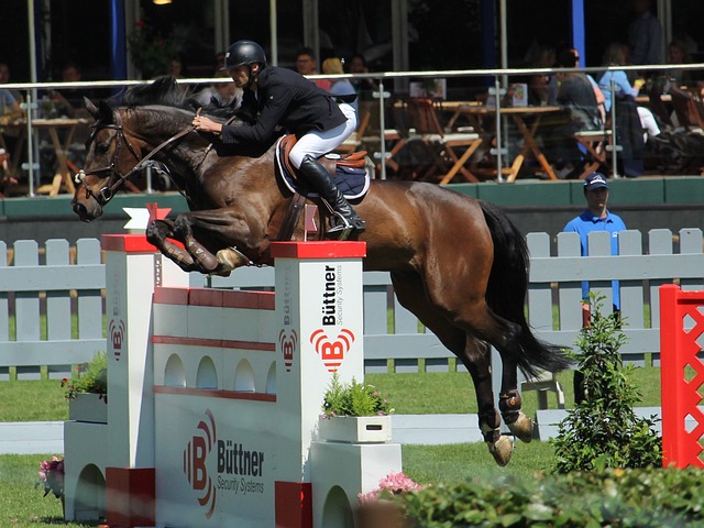 对塔利斯卡 对塔利斯卡