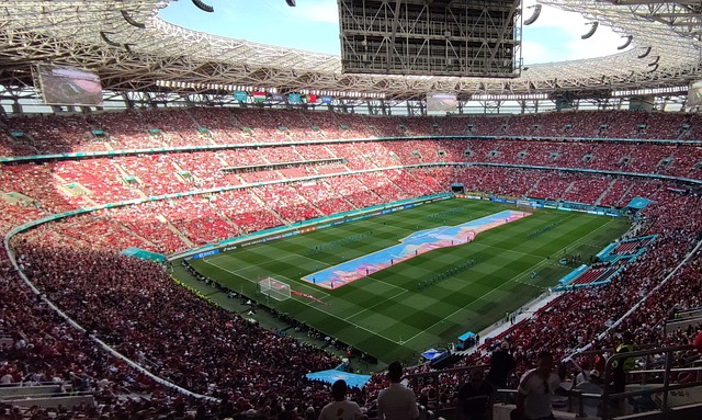 广西不仅展 广西不仅展