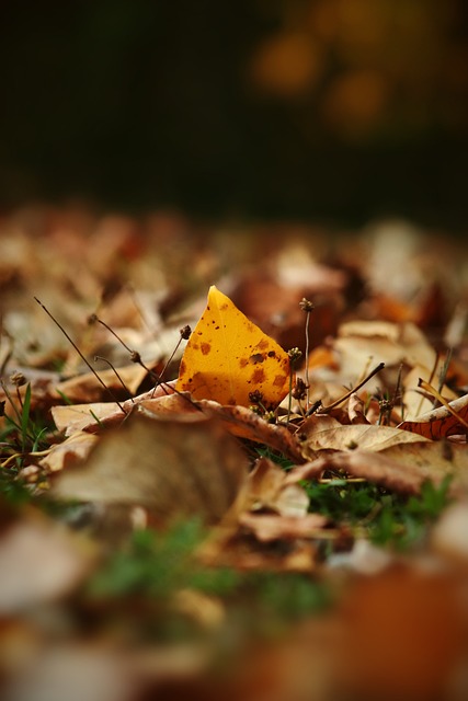 还决定着球 还决定着球