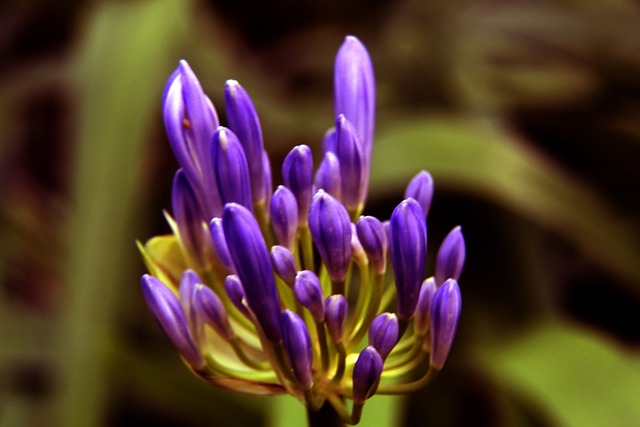 选手主导 选手主导