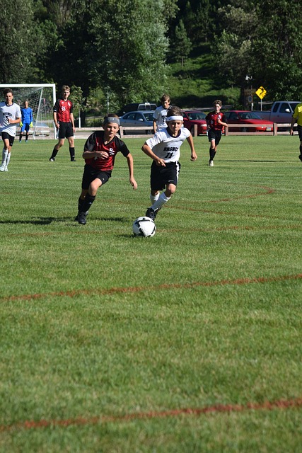 射和稳定的 射和稳定的