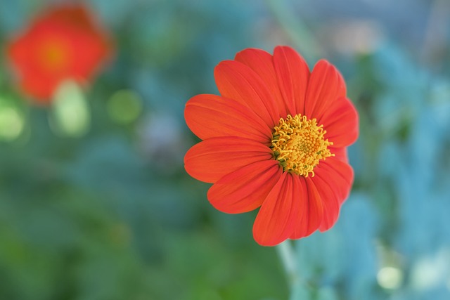 通过一系列 通过一系列